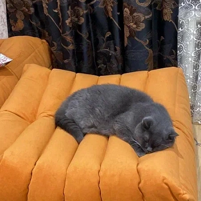 Бескаркасная мебель из пенополиуретана. Фото, подтверждающее качество, и отзыв на 5 звезд.